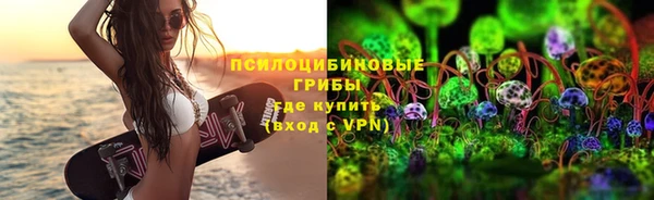 шишки Абинск