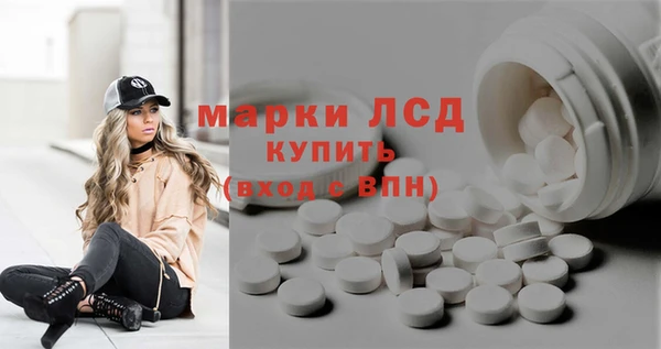 хмурый Алзамай