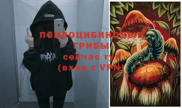 винт Алексеевка
