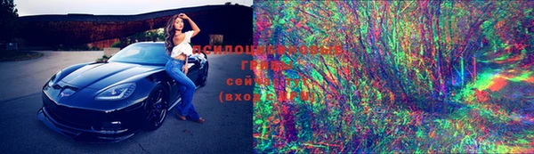 хмурый Алзамай
