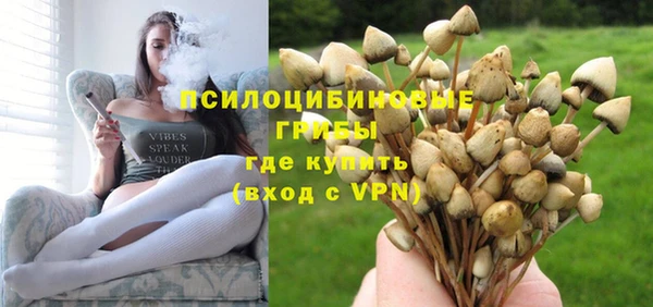 винт Алексеевка