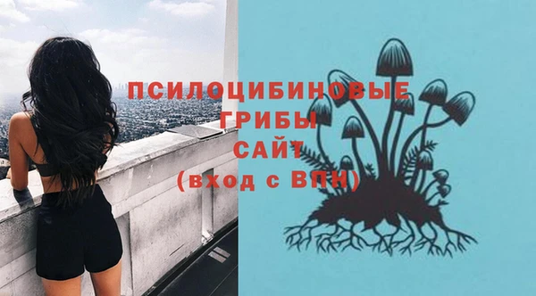 ALPHA-PVP Алексин