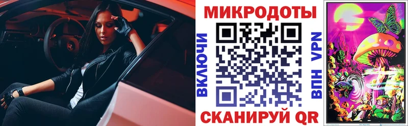 Галлюциногенные грибы Psilocybine cubensis  Сатка 