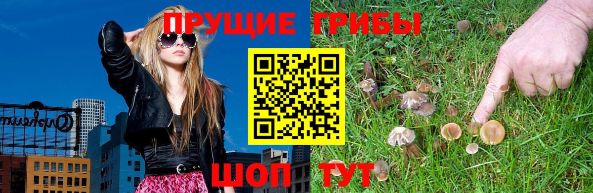 Сатка  Псилоцибиновые грибы прущие грибы  Вход с VPN  Псилоцибиновые грибы мухоморы 