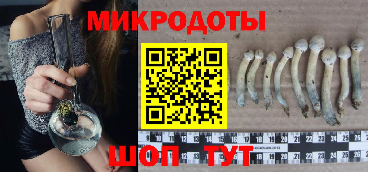 Псилоцибиновые грибы Psilocybine cubensis Сатка